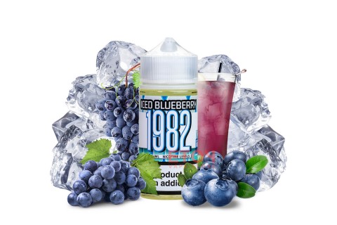 Tinh dầu 1982 Blueberry – Việt Quất 100ml