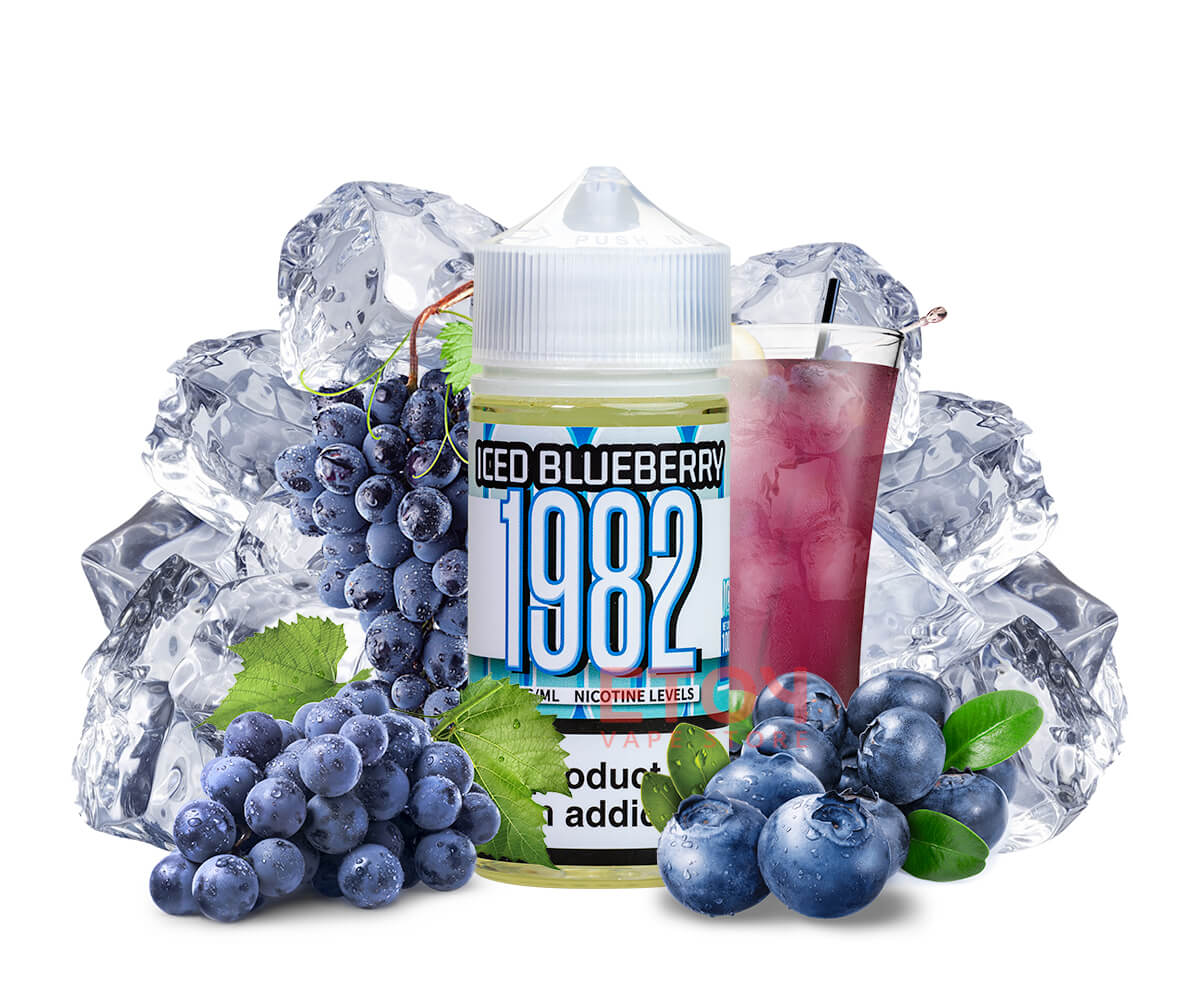 Tinh dầu 1982 Blueberry – Việt Quất 100ml